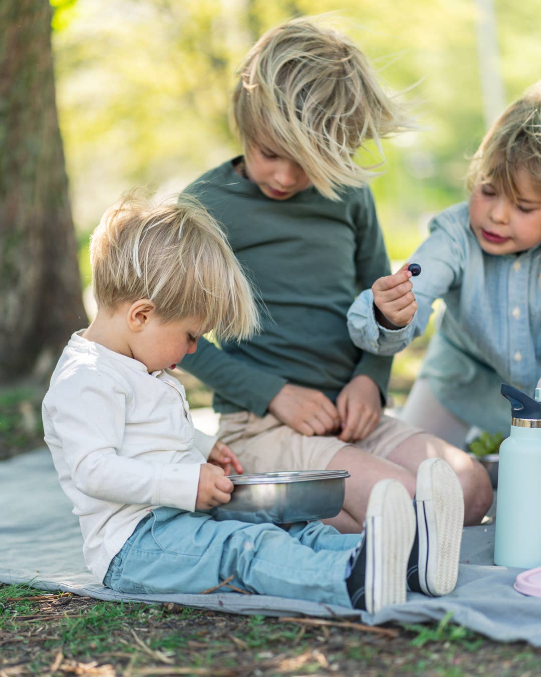 Steelish™ Lunchbox, in verschiedene Farben - Tiere