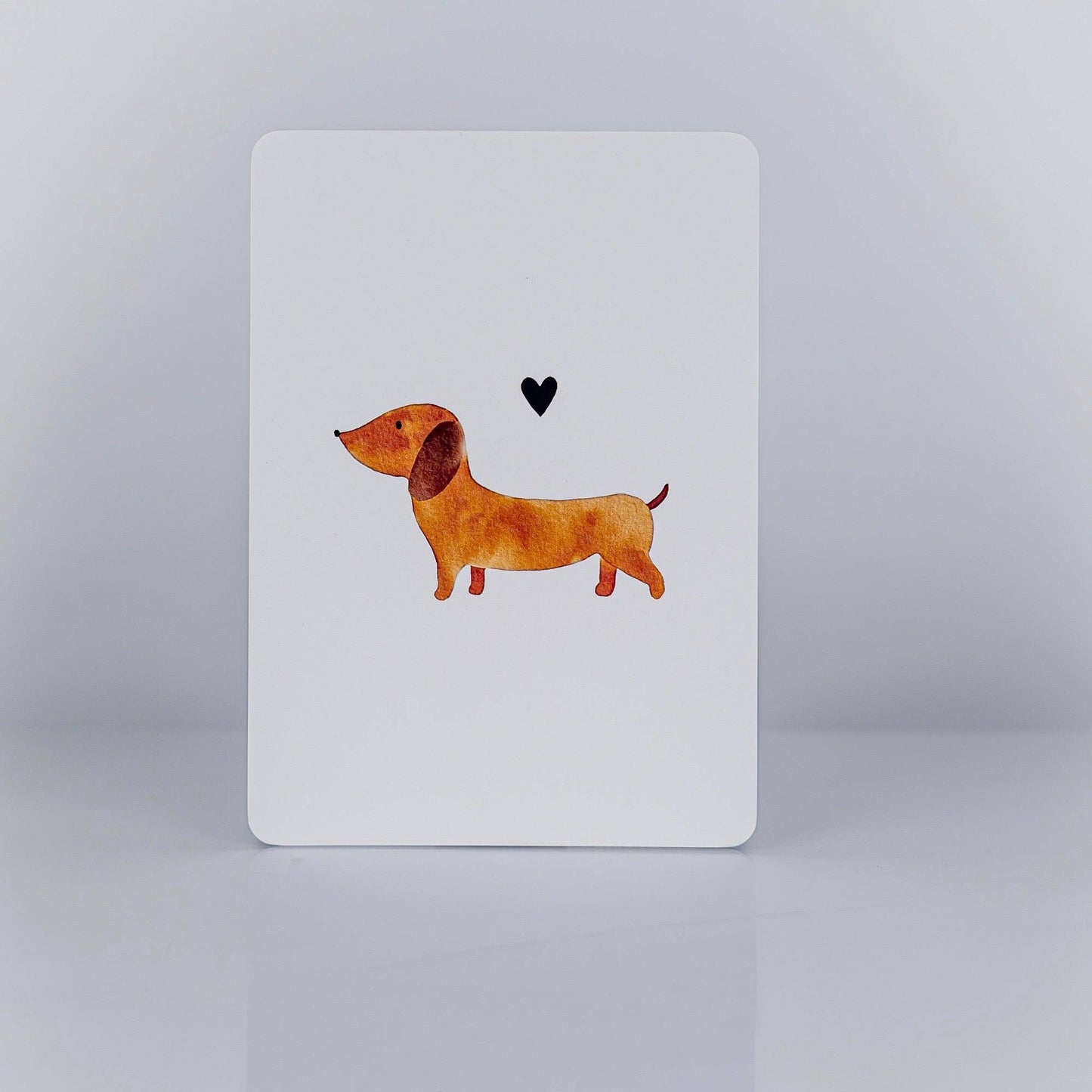 Dackel: Postkarte