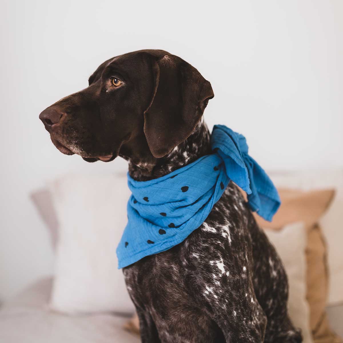 BIANCA Mulltuch mit Herz-Print in Greek Blue: GRIECHISCH BLAU / HERZ / M 70*70